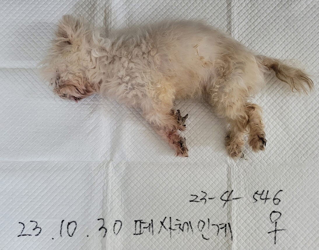 논산시 동물보호센터_444454202300935